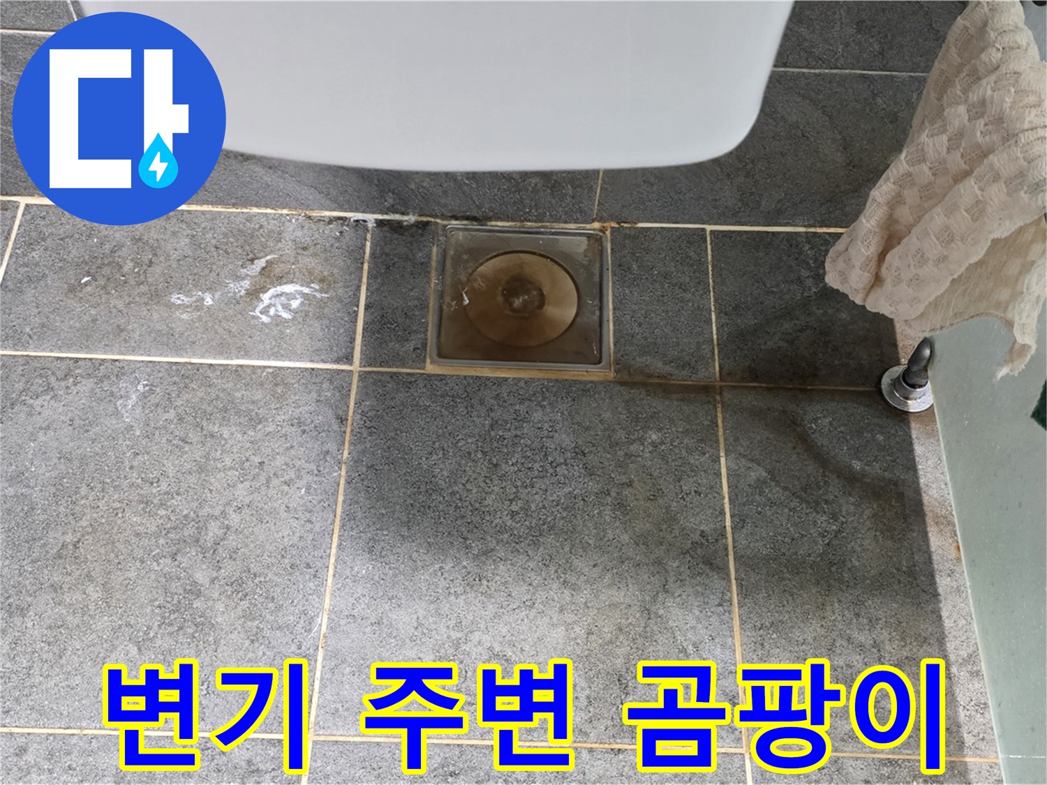 변기 주변 타일 틈새 곰팡이 - 변기 누수 의심 - 냄새 동반