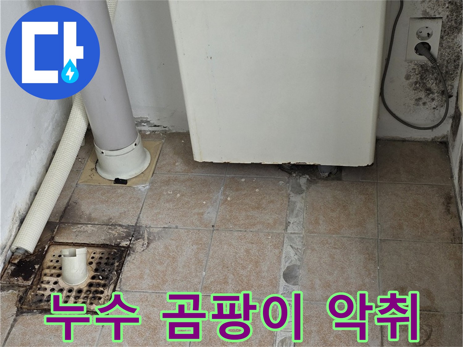 보일러실 배수구 주변 누수 흔적 - 곰팡이 발생 및 악취 진단