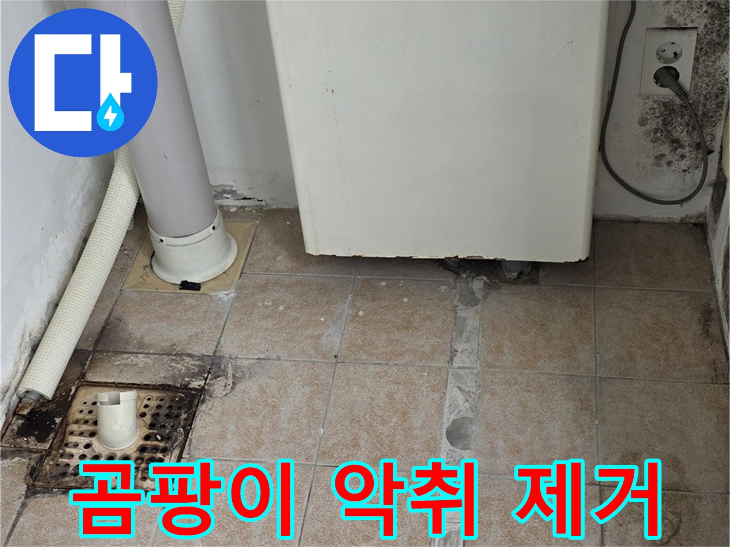 보일러실 하단 누수 - 곰팡이 악취 제거 및 재발 방지 집중 관리