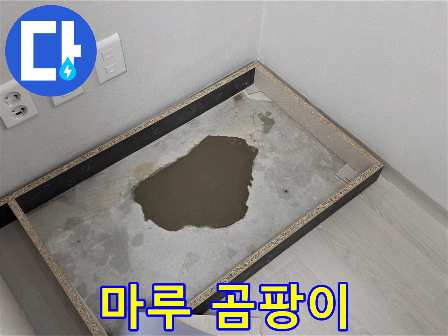 성북구 길음동 누수 - 마루 곰팡이, 누수 원인 철저 분석 및 곰팡이 제거