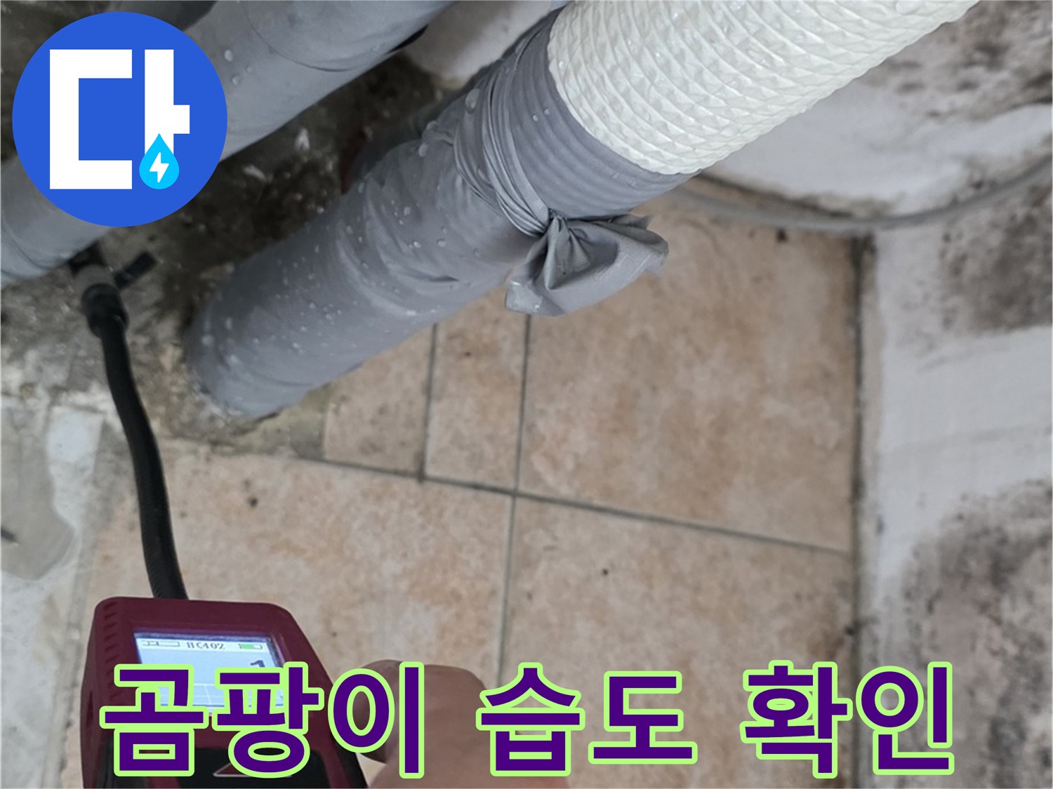 성북구 길음동 누수 현장에서 곰팡이 핀 벽의 습도를 측정하여 누수 여부를 확인합니다 - 곰팡이, 이제 안녕!