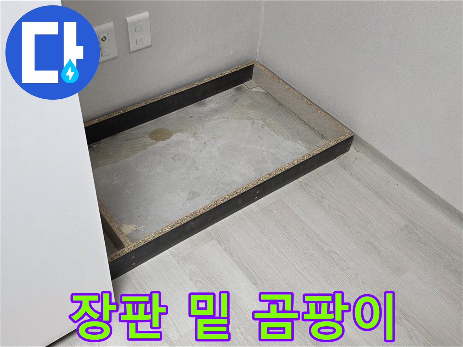 장판 밑 곰팡이 - 누수로 인해 발생한 곰팡이