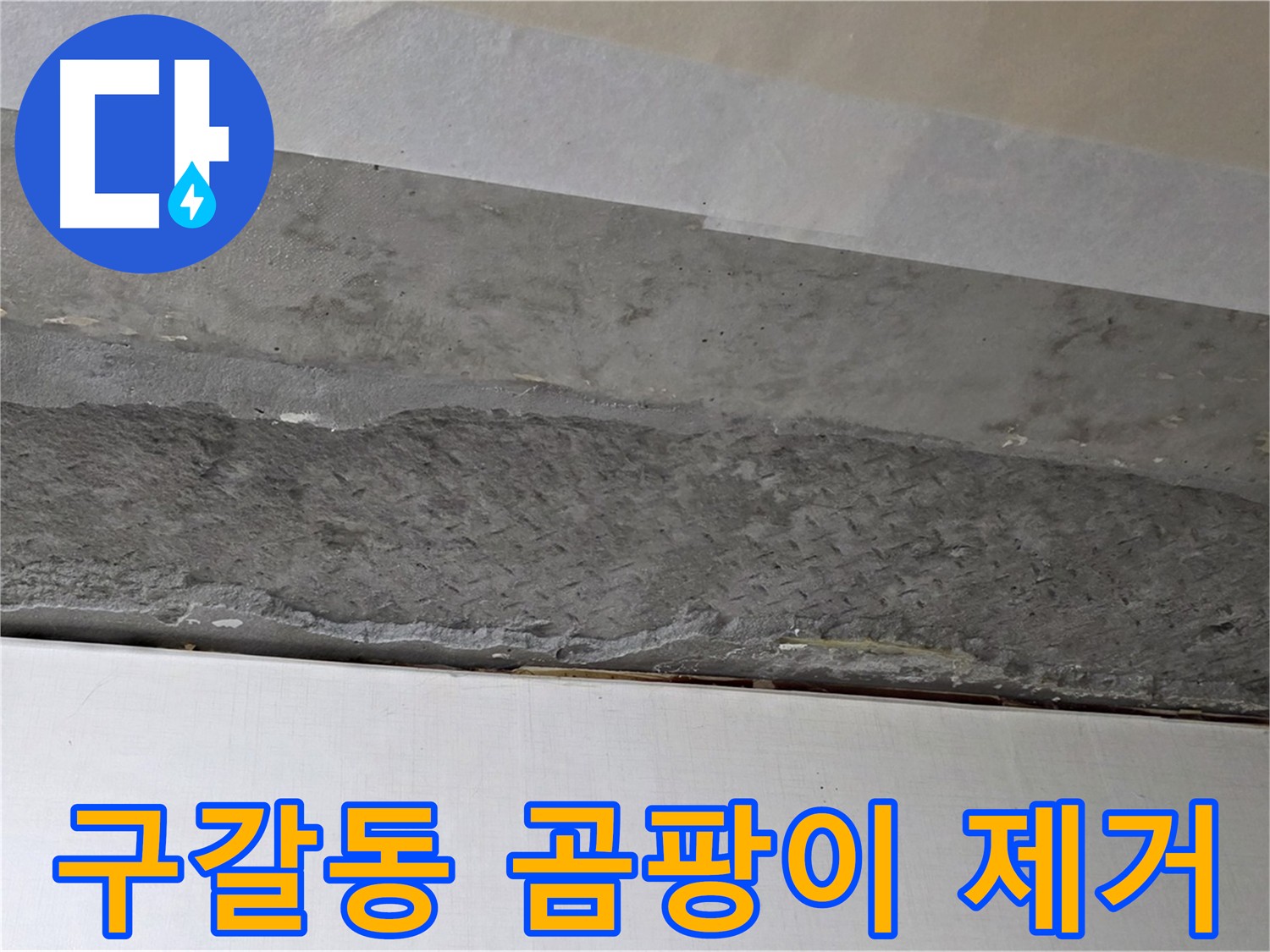 구갈동 아파트 천장 누수 - 곰팡이 제거 및 건강한 환경 조성
