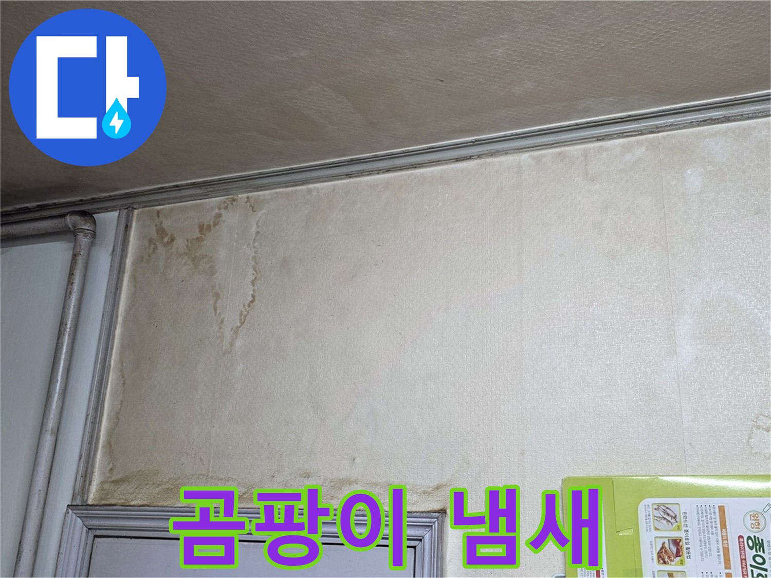 기흥구 구갈동 아파트 - 곰팡이 냄새 누수