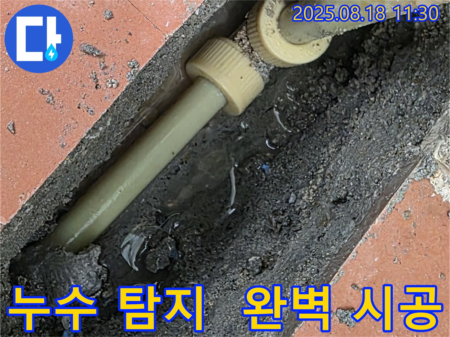 영중면 베네치아아파트 누수 - 누수 탐지부터 완벽 시공까지!