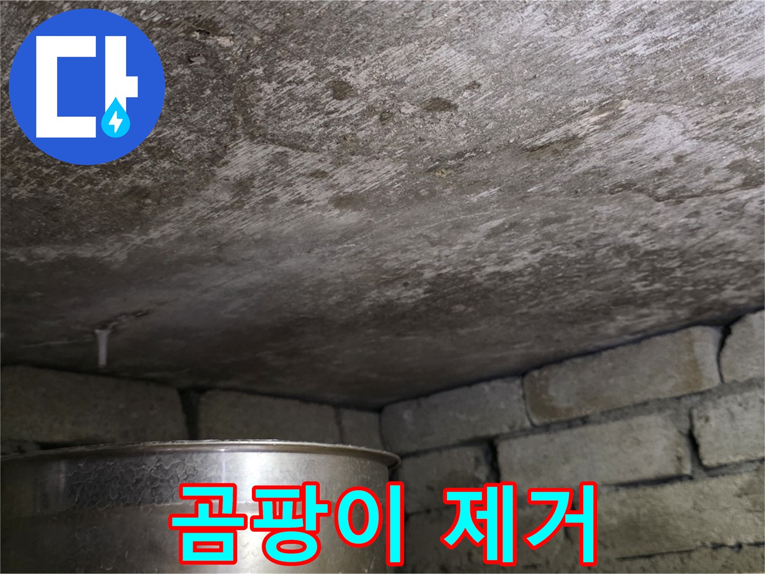 용인 처인구 원일아파트 - 곰팡이 제거 작업 꼼꼼하게 진행