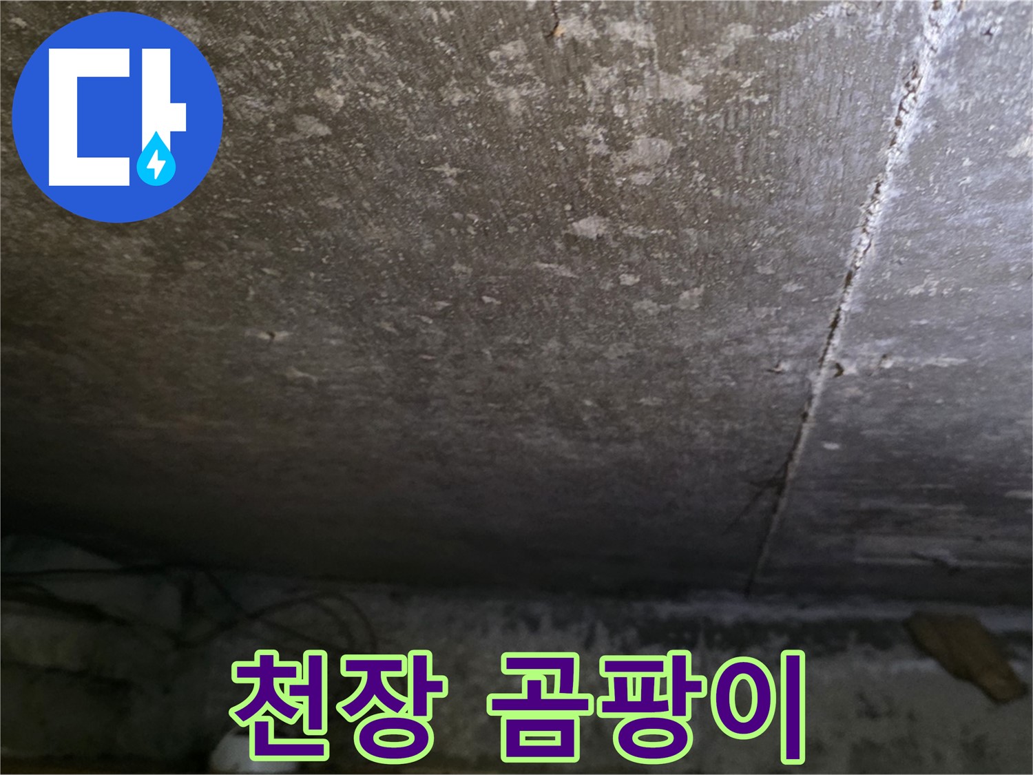 용인 처인구 원일아파트 천장 곰팡이 - 천장에 발생한 곰팡이를 보여주는 이미지입니다.