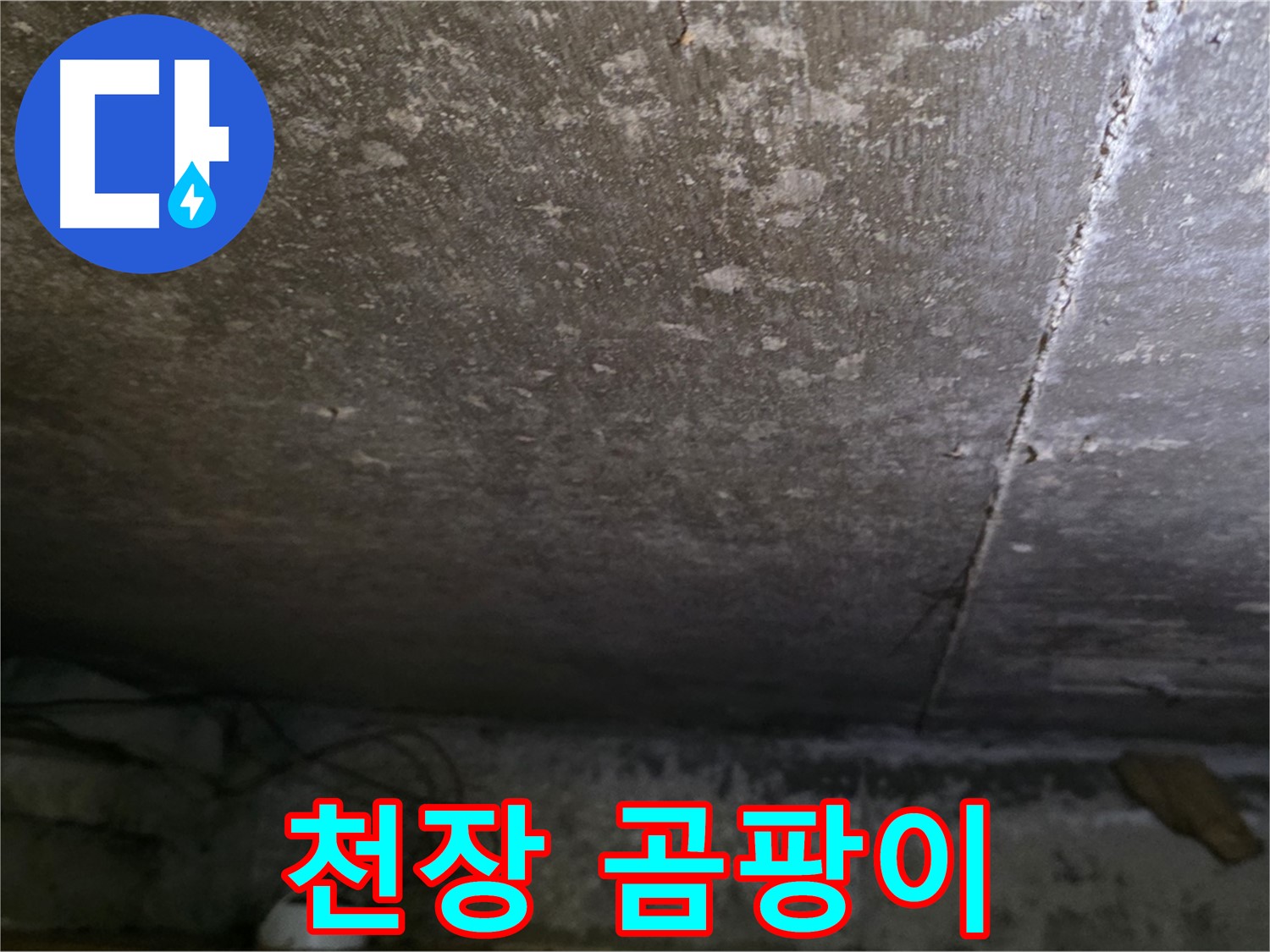 용인 처인구 원일아파트 천장 곰팡이 - 천장에 발생한 곰팡이를 보여주는 이미지입니다.