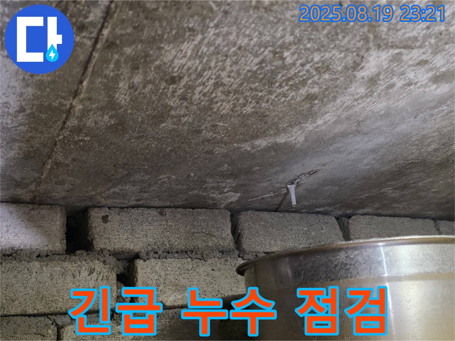 용인시 처인구 원일아파트 천장 누수 긴급 점검 현장 - 누수 상황을 신속하게 파악하고 있습니다.
