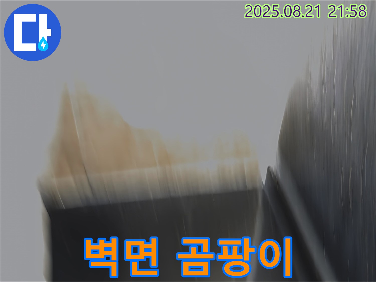 고양시 일산 탄현동에서 발견된 벽면 곰팡이 - 누수 점검으로 곰팡이 발생 원인을 찾아야 합니다.