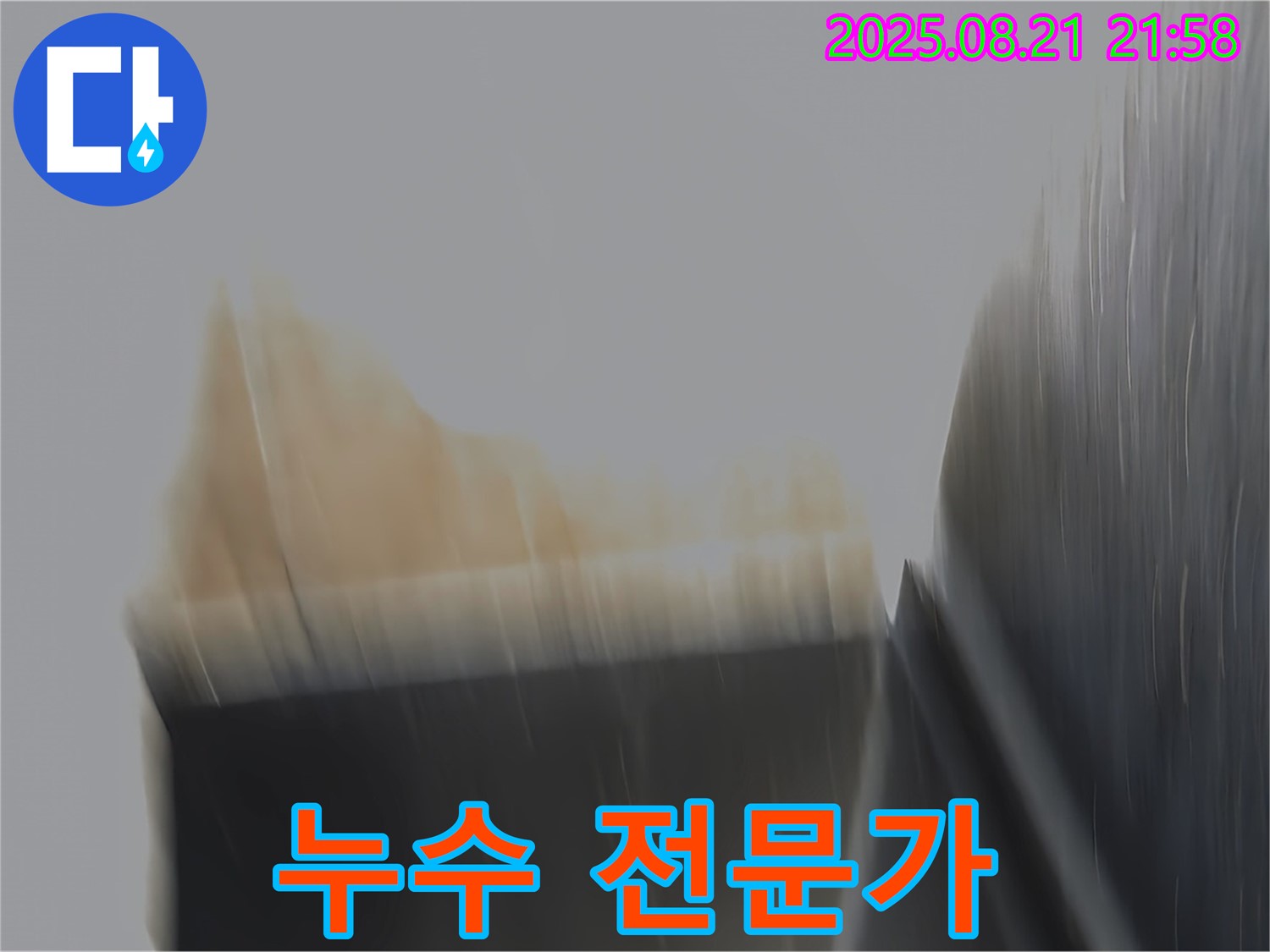 일산 누수 현장에서 믿을 수 있는 누수 전문가가 완벽한 해결을 약속하는 모습 - 최고의 기술력