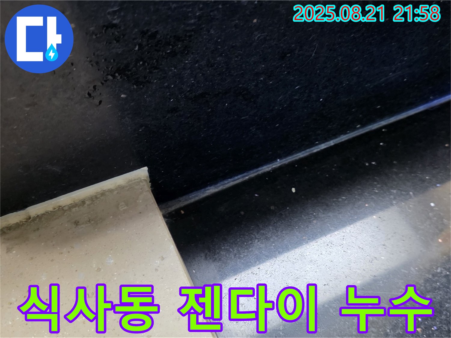 일산 식사동 누수 현장 - 젖은 타일과 곰팡이 흔적을 통해 욕실 젠다이 누수 위치를 파악하고 문제 해결을 위한 준비를 하는 모습