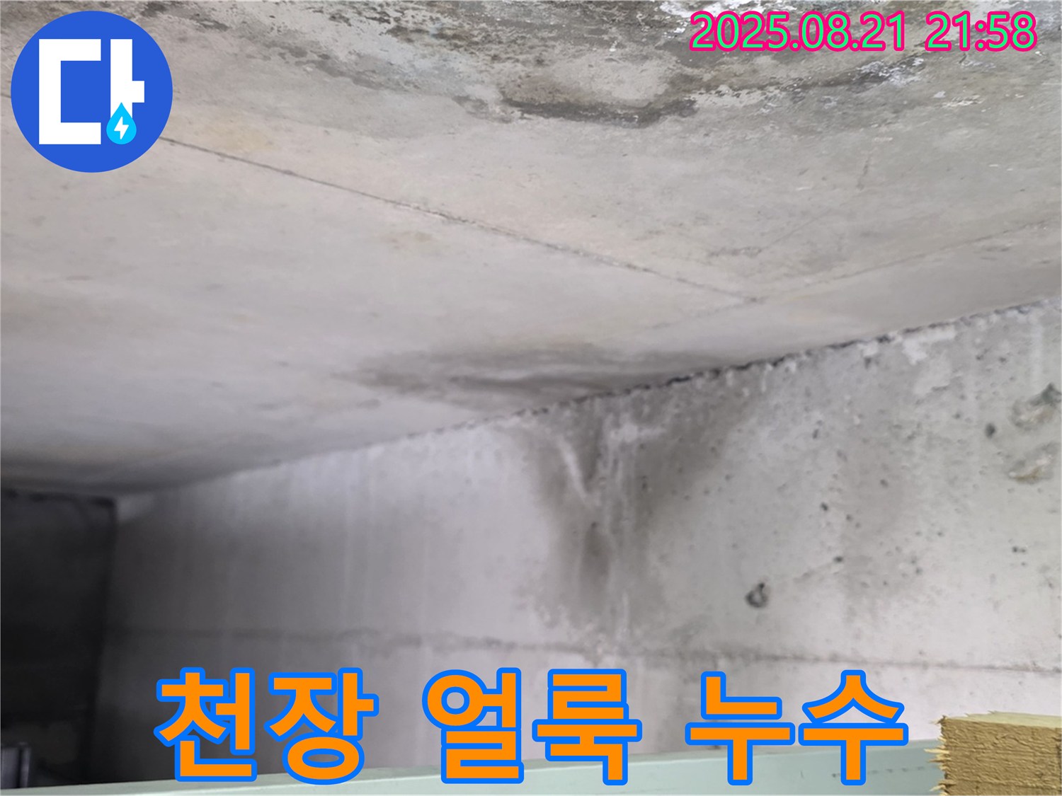 일산서구 탄현동 누수 현장 - 콘크리트 천장에 생긴 얼룩과 누수 흔적을 보여주는 사진입니다.