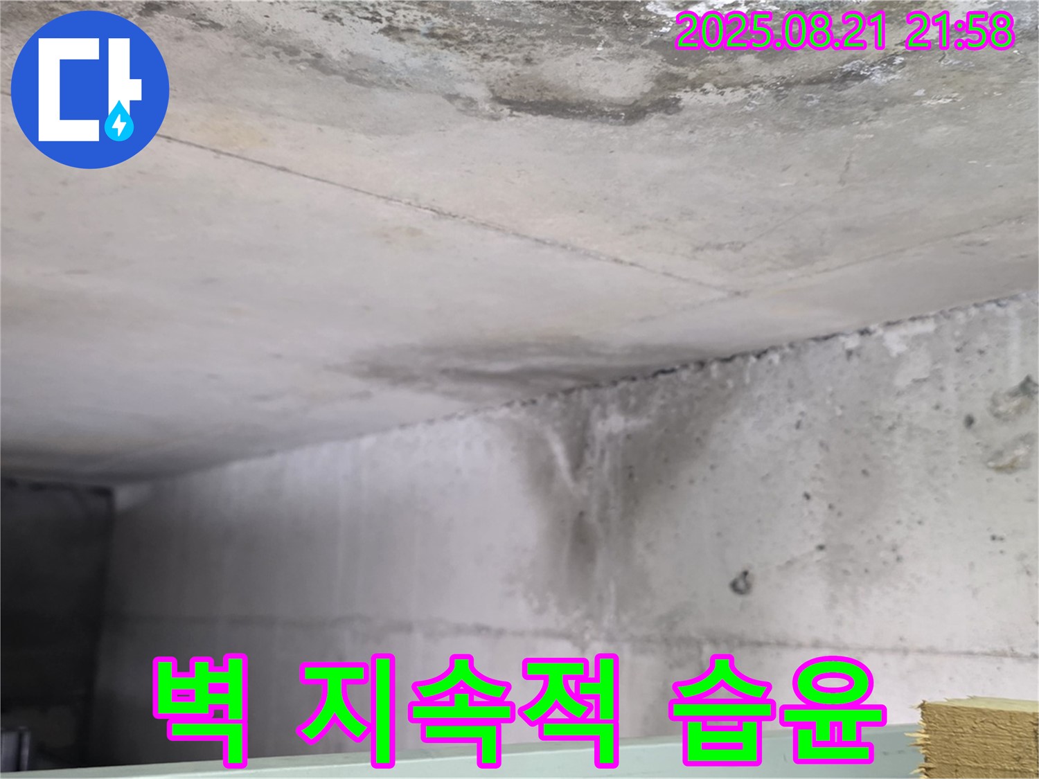 일산서구 하이파크 누수 현장 - 콘크리트 벽이 지속적으로 습윤한 상태를 유지하고 있는 사진입니다.