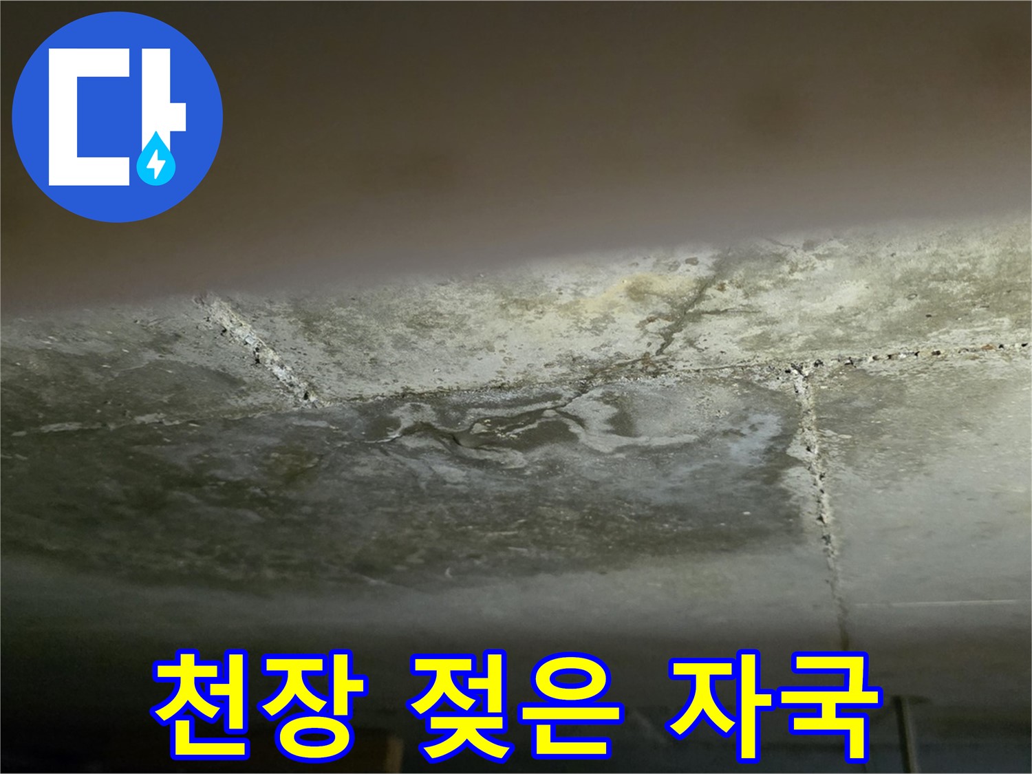 일산서구 하이파크 아파트 천장 젖은 자국 - 누수 초기 증상 및 진단 과정