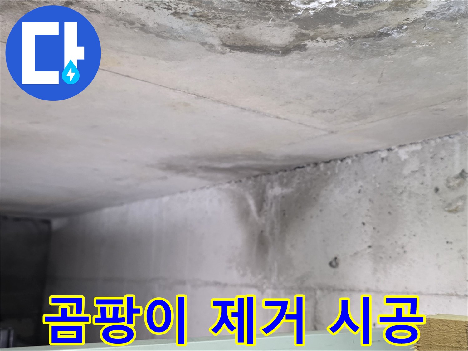 콘크리트 벽 곰팡이 제거 - 덕이동 누수, 재발 방지 시공