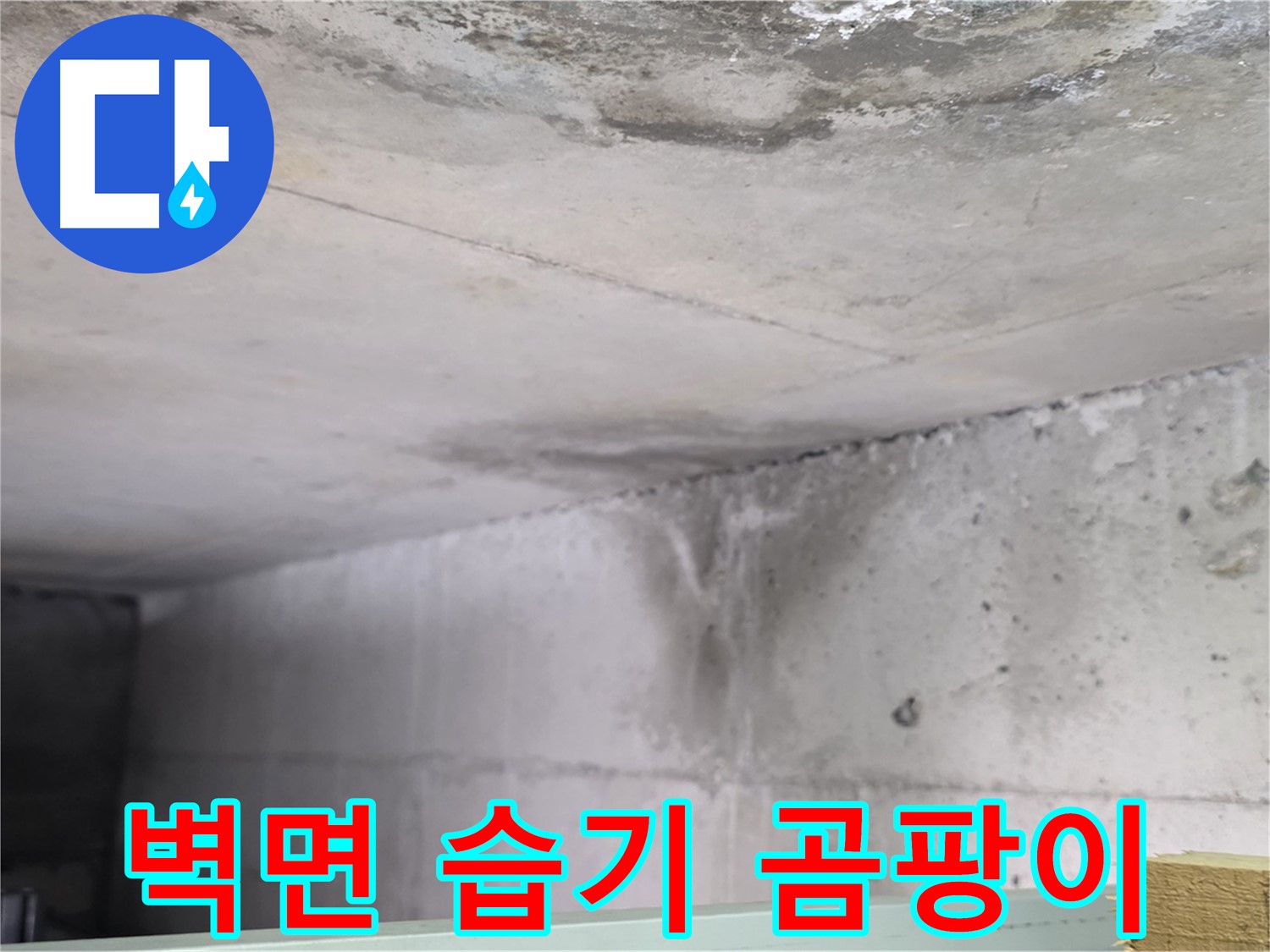 콘크리트 벽면 누수 - 일산서구 누수, 곰팡이 발생 전 습기