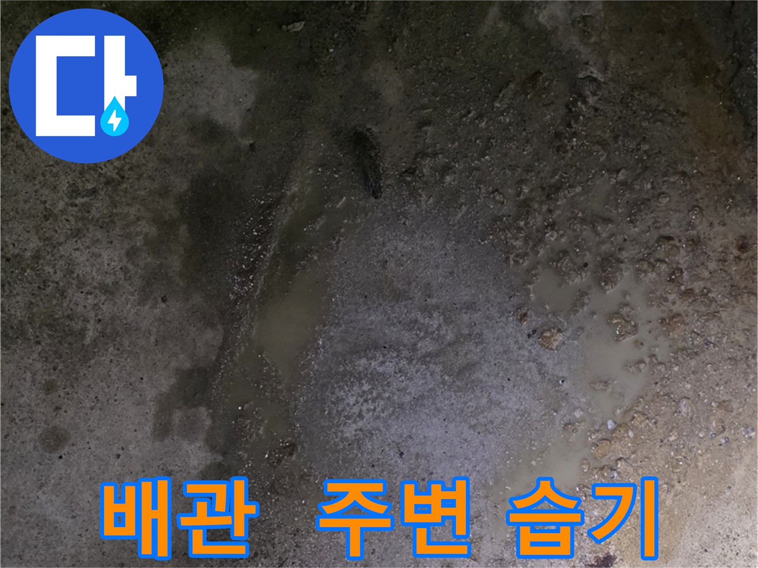 강원특별자치도 철원군 서면 와수리 누수 현장 - 배관 주변에 습기가 있는 것은 숨겨진 누수가 발생하고 있다는 신호입니다.