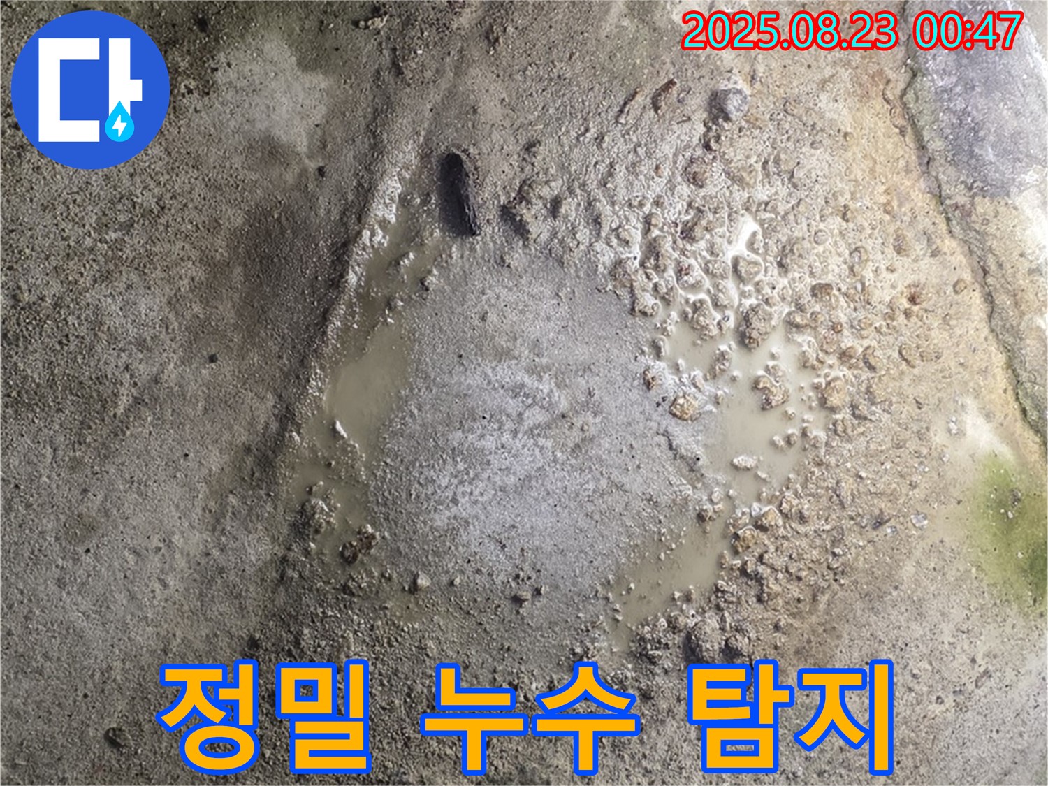 정밀 누수 탐지 장비를 사용하여 누수 지점을 찾고 있는 모습입니다.