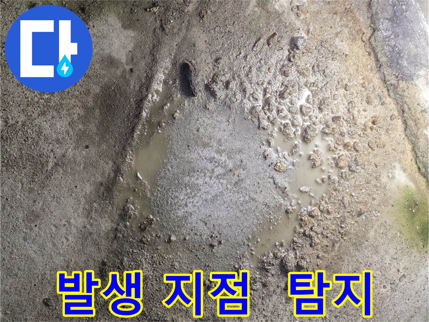 철원군 서면 와수리 누수 현장 - 누수 발생 지점을 신속하게 탐지하는 서비스 제공 모습입니다.