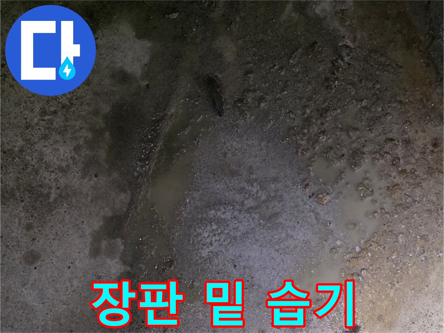 철원군 서면 와수리 누수 현장 - 장판 밑 습기를 제거하고 바닥 누수 문제를 해결하고 있습니다.