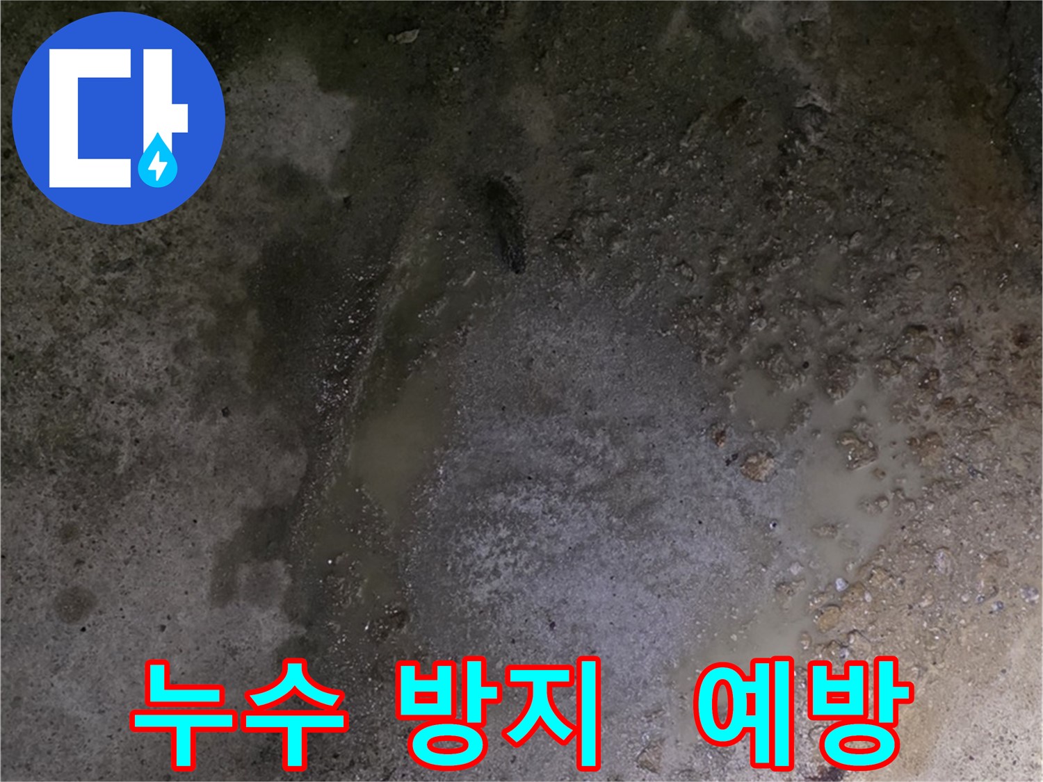 철원군 서면 와수리 누수 현장 - 정기적인 예방 점검을 통해 누수를 사전에 방지할 수 있습니다.
