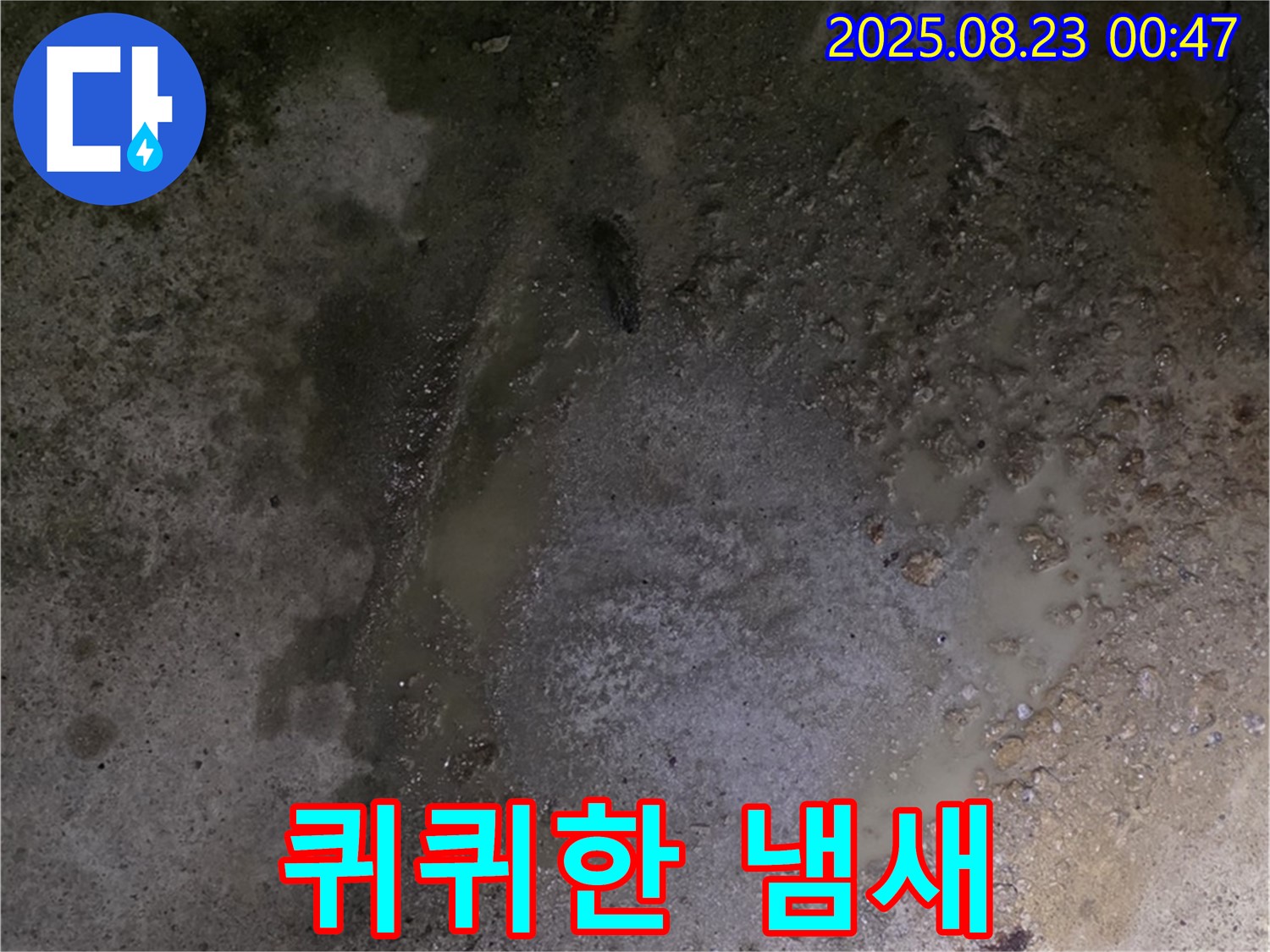 철원군 서면 와수리 누수 현장 - 콘크리트 바닥 물고임 - 퀴퀴한 냄새가 발생하고 있습니다 - 불쾌감을 유발합니다.
