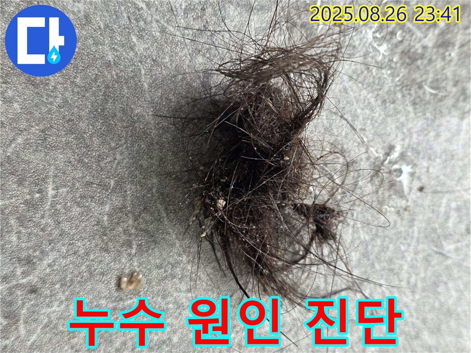 김포 누수탐지 현장에서 발견된 누수 원인 - 꼼꼼한 진단으로 문제 해결