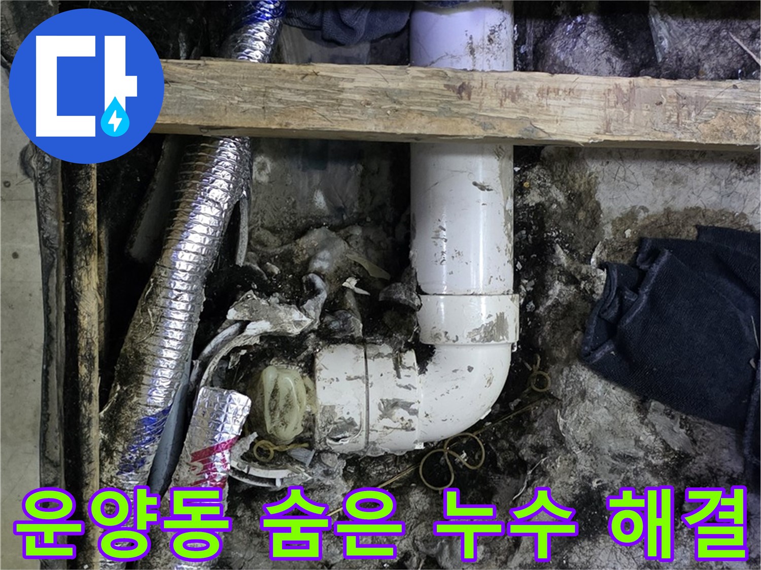 김포 운양동 누수 현장 - 정밀 탐지로 숨은 누수 해결