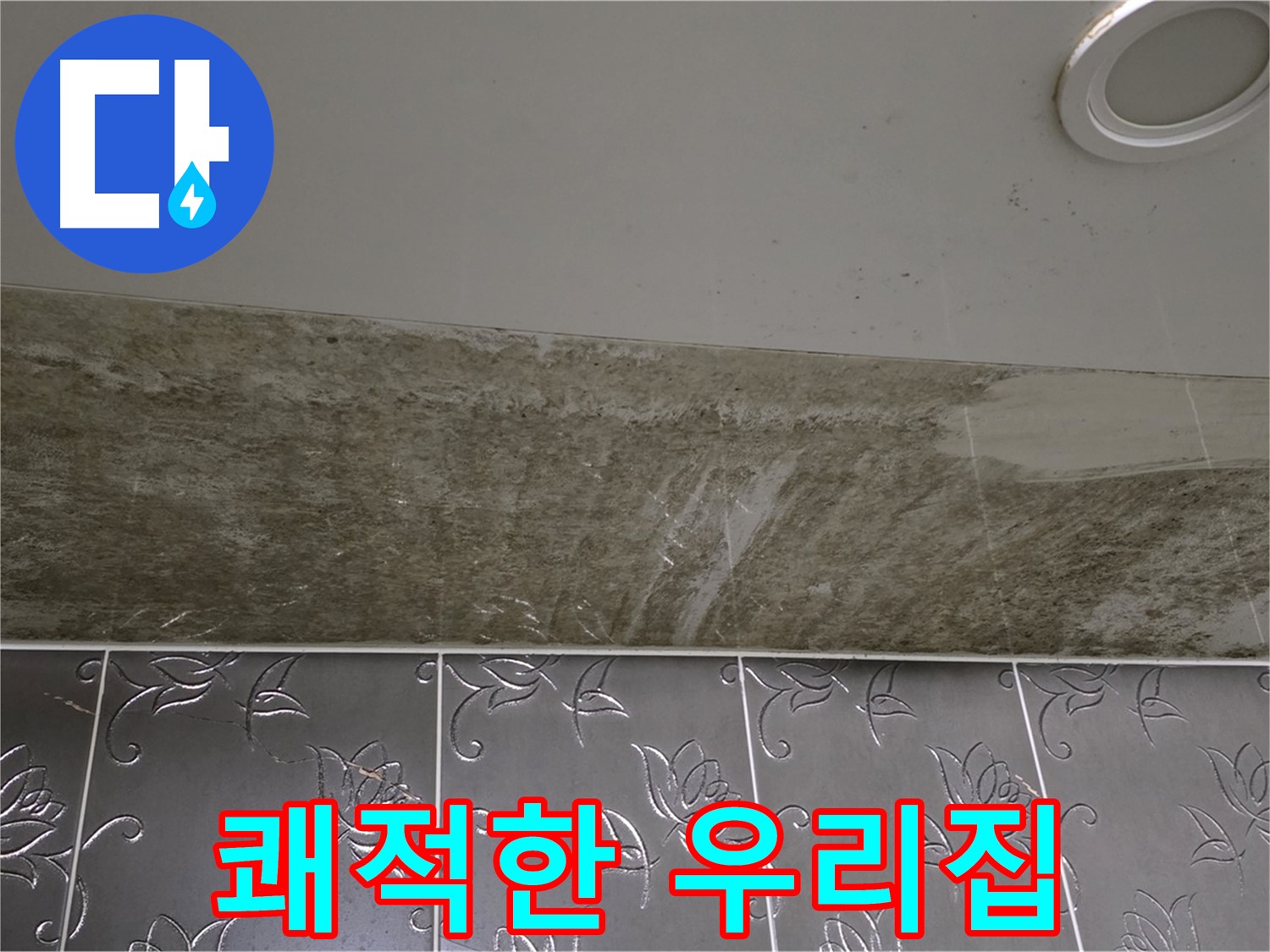 곰팡이 핀 화장실 천장 - 곰팡이 OUT, 쾌적한 우리집으로 변신
