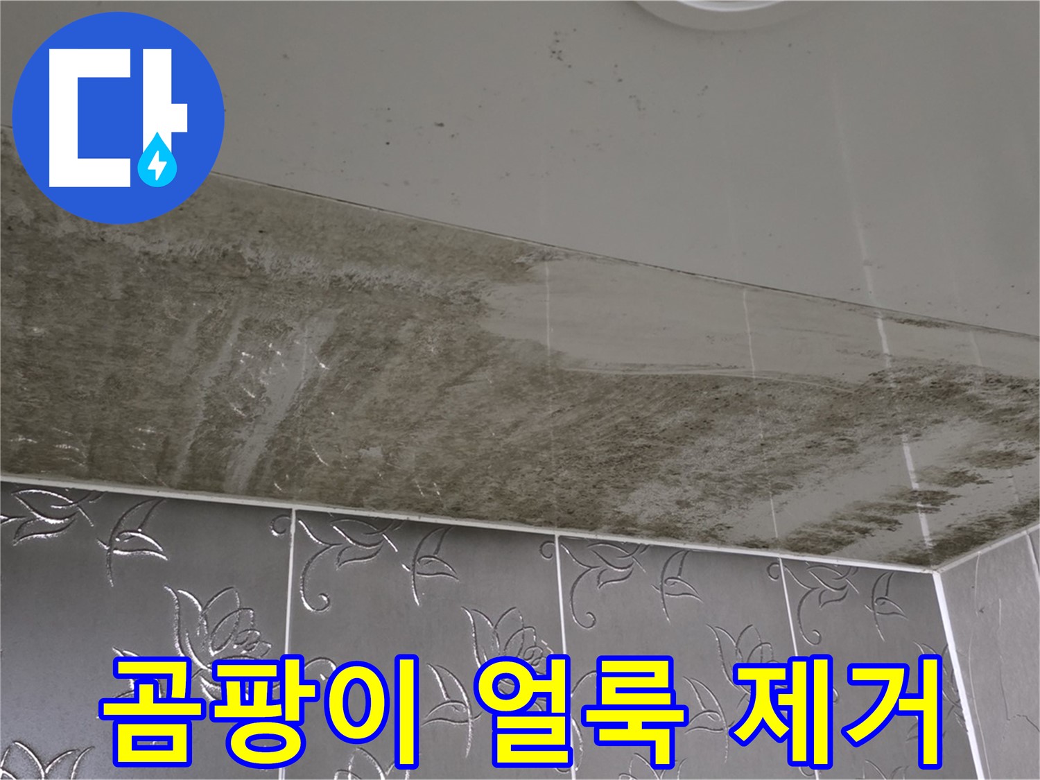 곰팡이로 얼룩진 욕실 천장 - 누수 원인 해결 후 깨끗하게 변신!