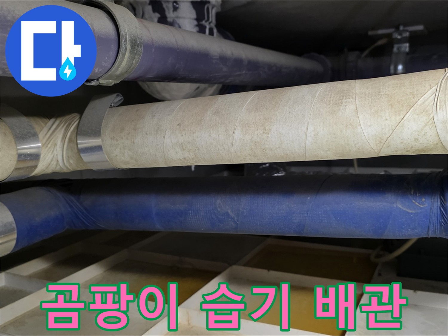 곰팡이와 습기로 뒤덮인 낡은 배관 - 건강까지 위협합니다