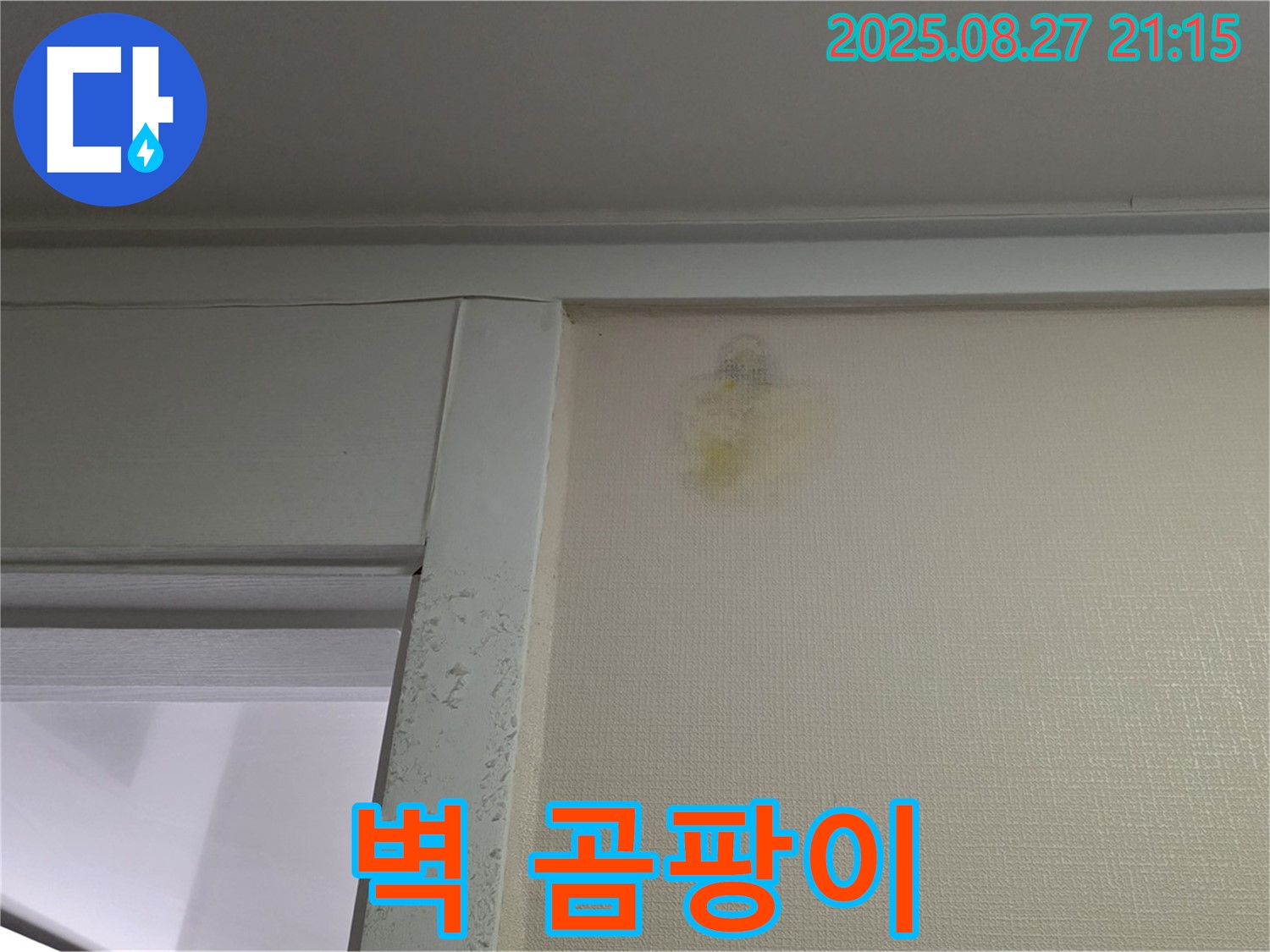 벽 곰팡이 - 산운마을 6단지에서 발견된 벽 곰팡이 현장을 촬영한 사진입니다 - 건강을 위협할 수 있습니다.