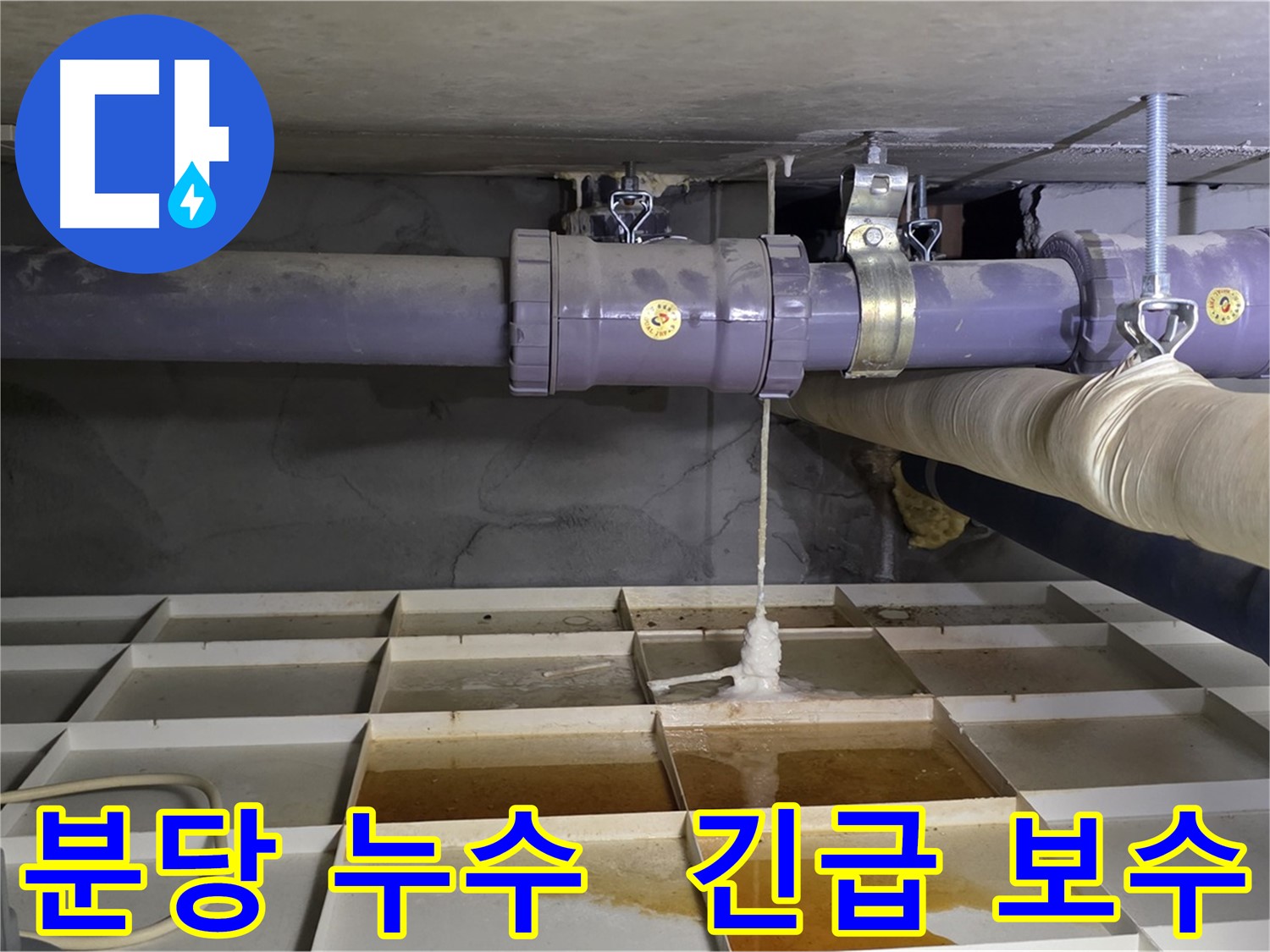 분당 산운마을 배관 누수 - 연결 부속 미세 손상, 특수 접착제로 긴급 보수