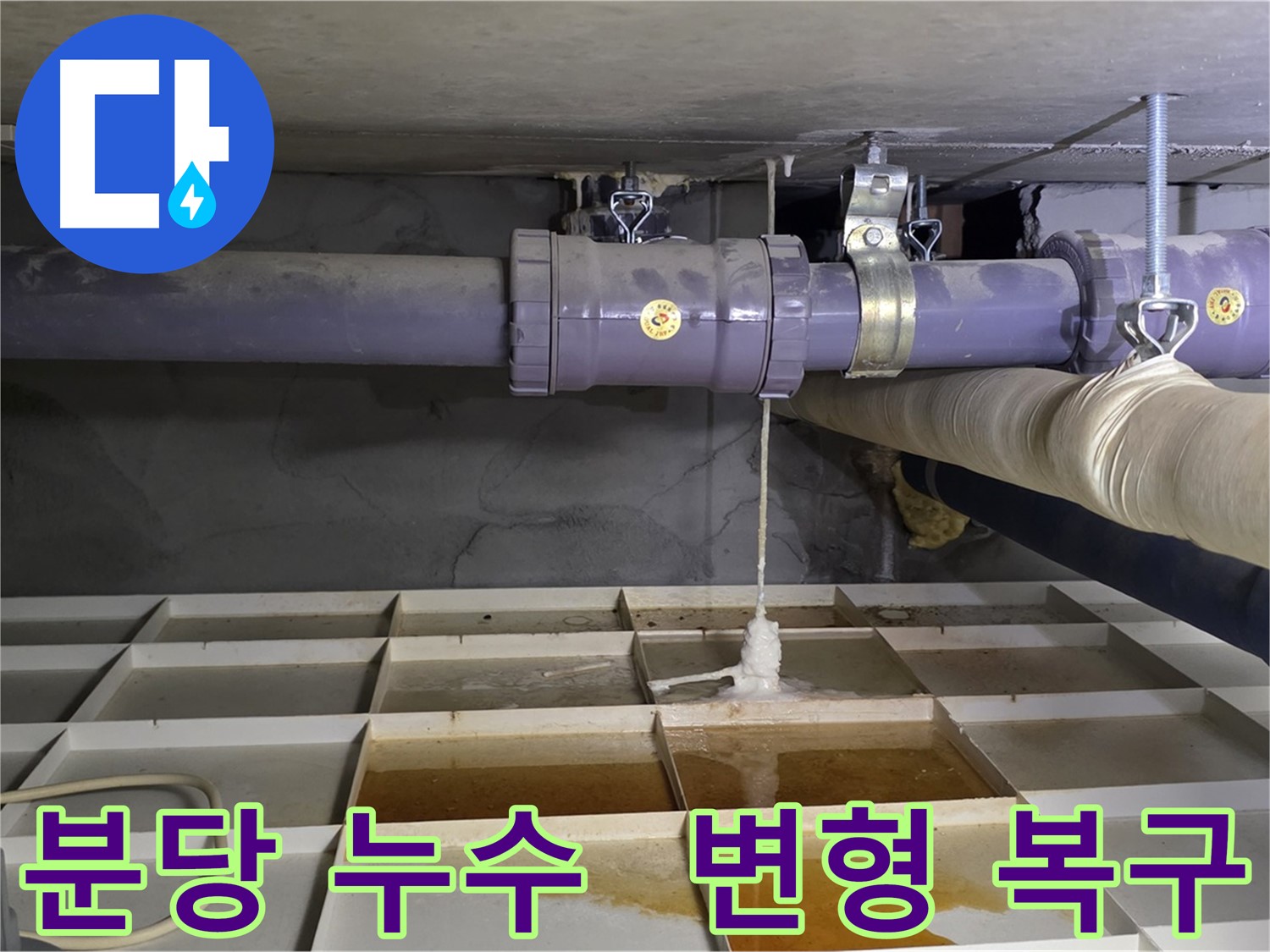분당 산운마을 배관 누수 - 연결 부위 변형, 전문 장비로 완벽 복구 작업
