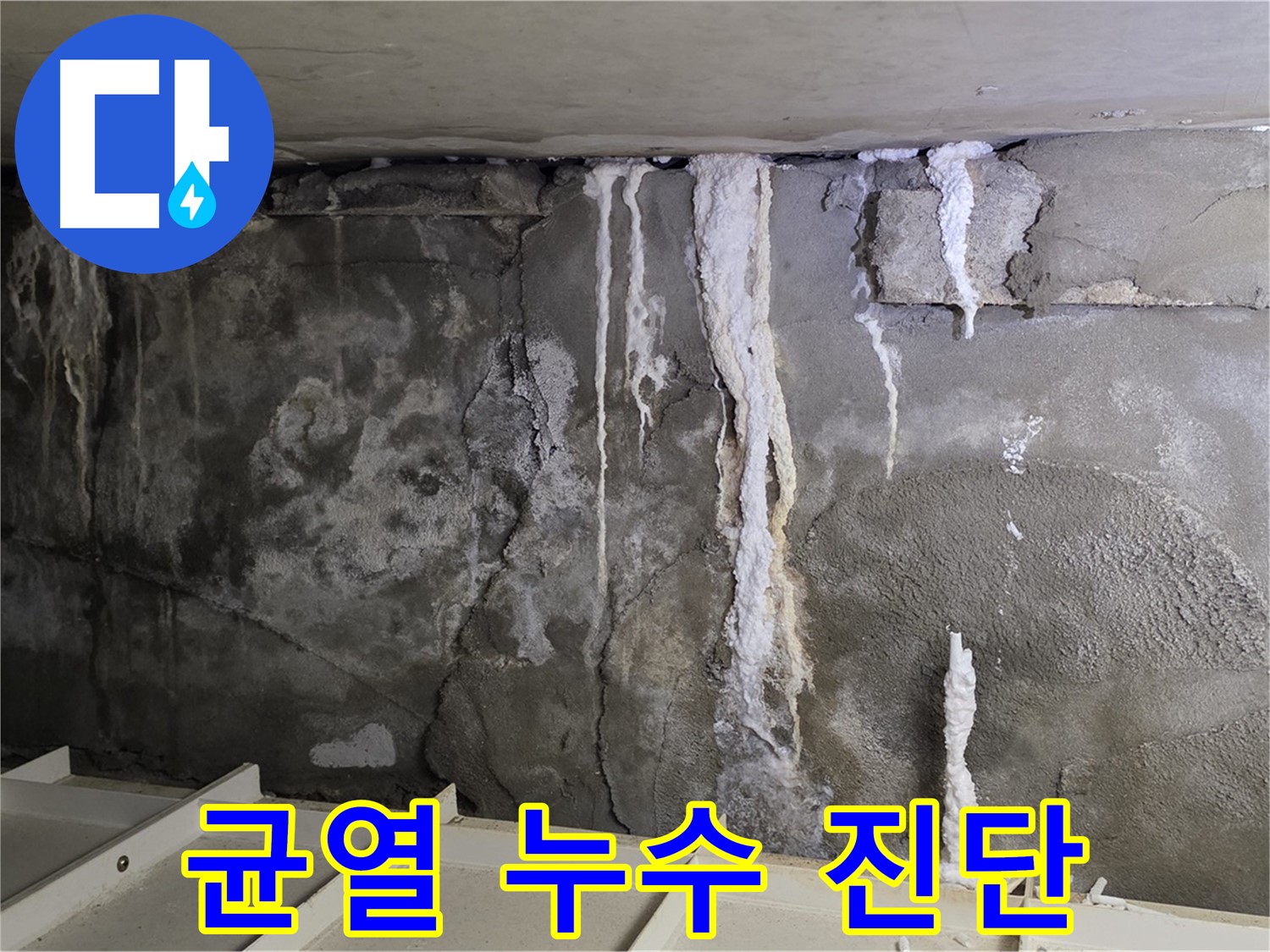 분당 운중동 건물 누수 - 균열 누수, 정밀 진단으로 해결