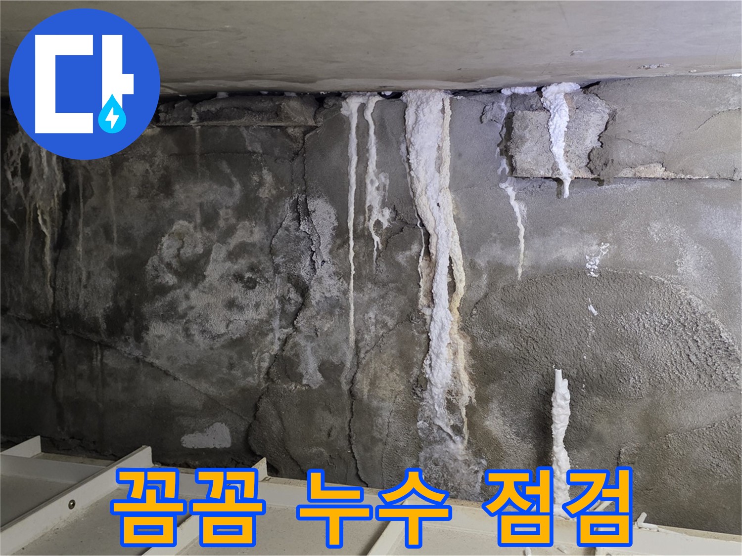 분당 운중동 건물 누수 - 주차장 누수 - 꼼꼼 점검 서비스