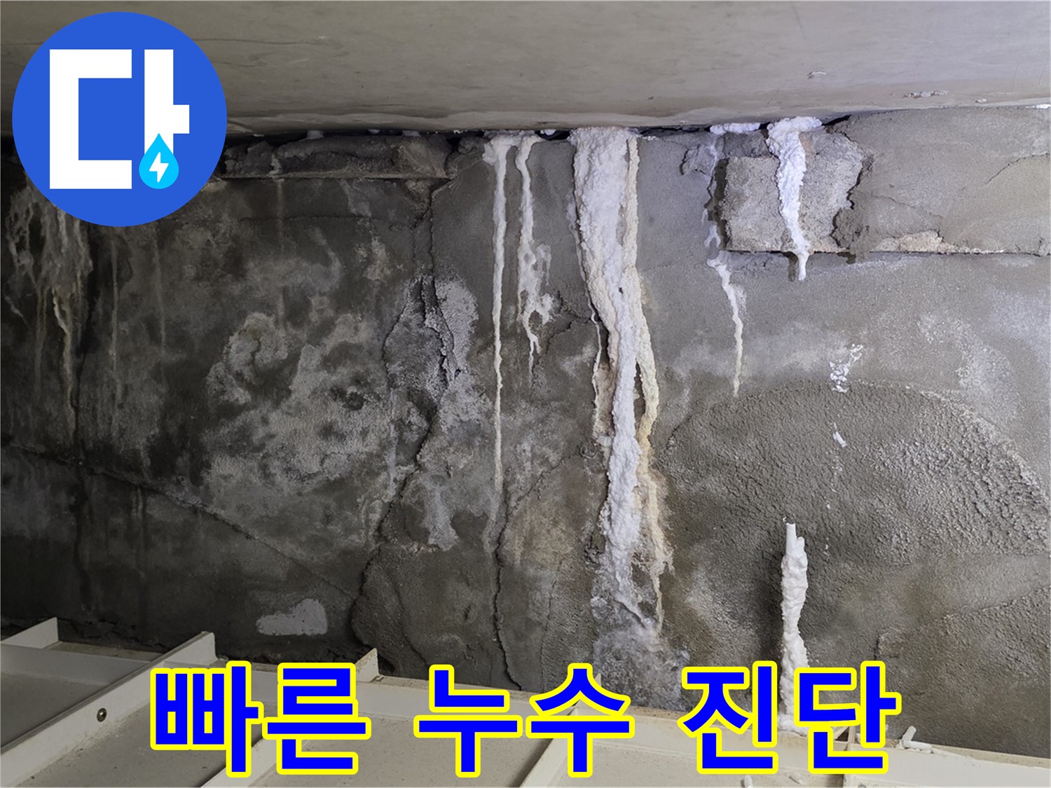 분당 운중동 건물 누수 - 주차장 누수 - 빠른 진단 서비스