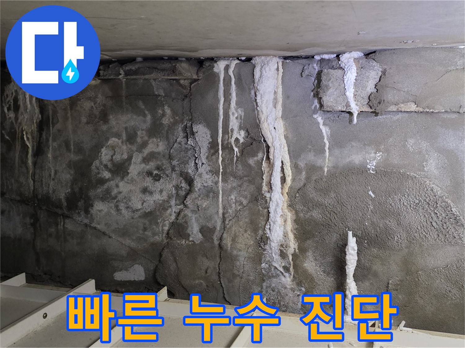 분당 운중동 건물 누수 - 주차장 누수 - 빠른 진단 서비스