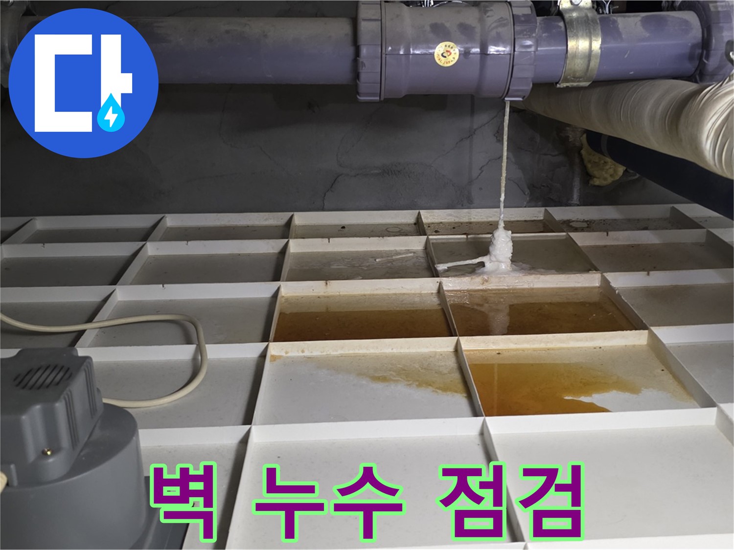 분당 운중동 산운마을 6단지에서 벽 누수를 점검하는 모습 - 꼼꼼한 점검으로 누수 원인을 정확하게 파악하고 해결합니다.