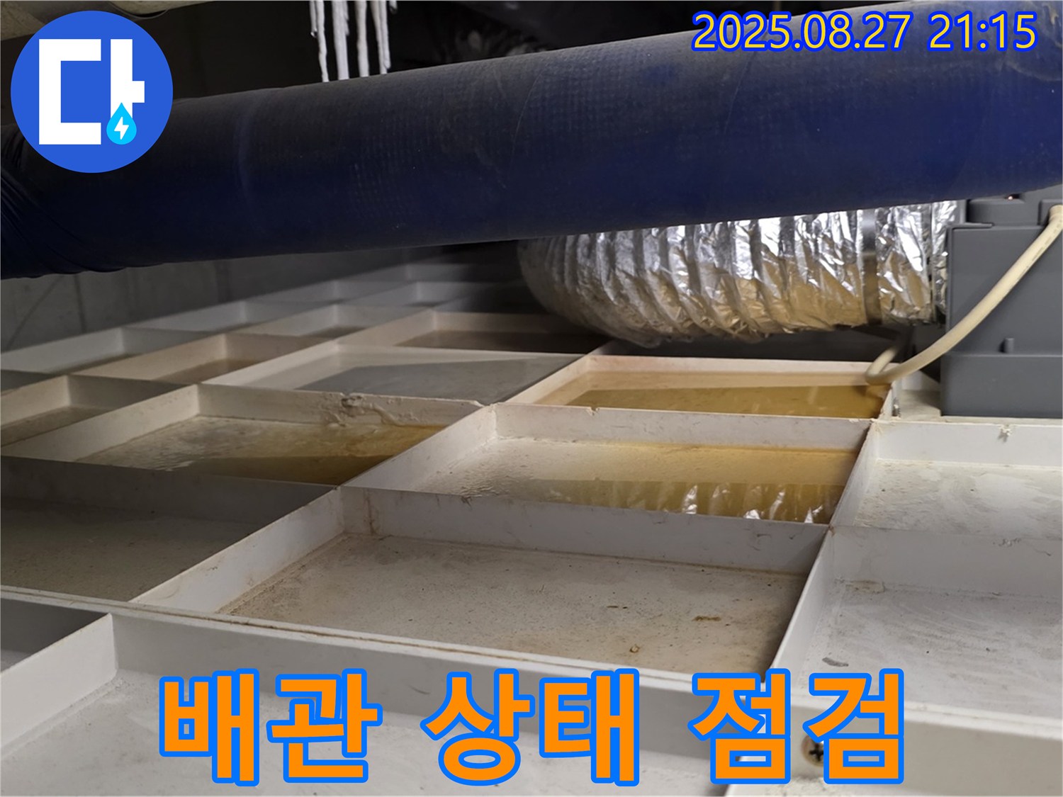분당 운중동 산운마을 누수 현장 - 배관의 노후 상태와 연결 부위를 꼼꼼하게 점검하여 누수 원인을 파악합니다.