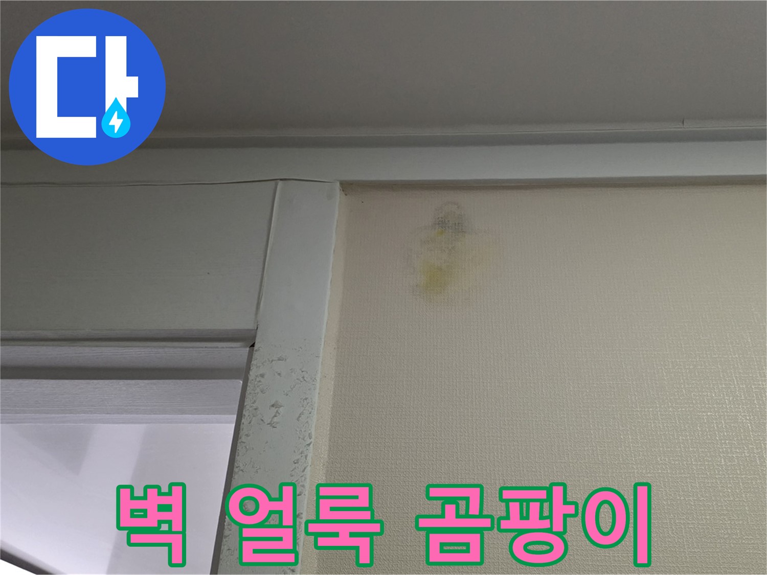 분당 운중동 산운마을 아파트 - 벽 얼룩 주변 곰팡이 초기 누수 의심, 습도 측정