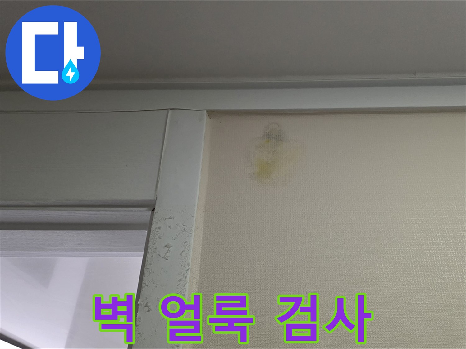 분당 운중동 산운마을 아파트 벽 얼룩 - 초기 누수 의심 및 정밀 검사 진행