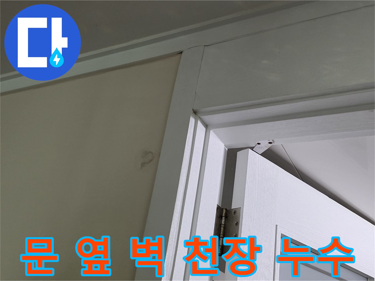 분당 운중동 아파트 문 옆 벽 천장 누수 - 누수 발생 위치와 주변 환경을 꼼꼼히 살펴 원인을 파악합니다.