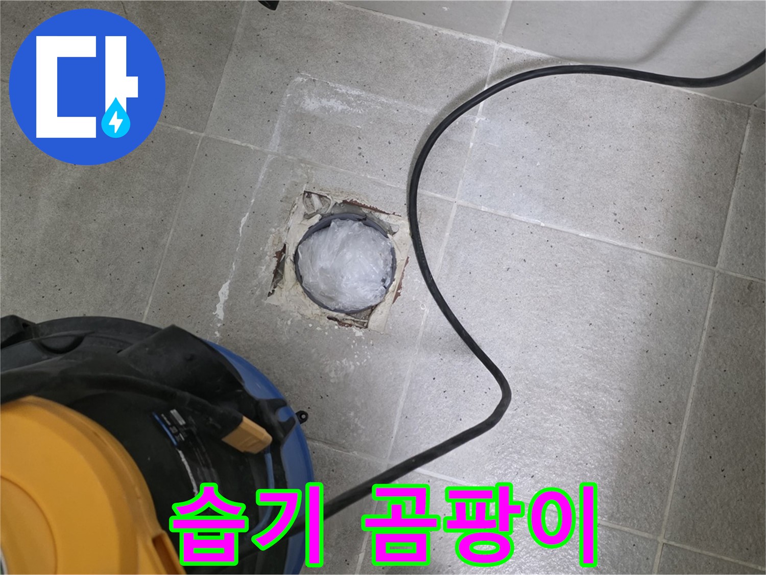 분당 운중동 욕실 배수구 - 습기와 곰팡이 발생 여부를 확인하여 누수 가능성을 점검합니다.
