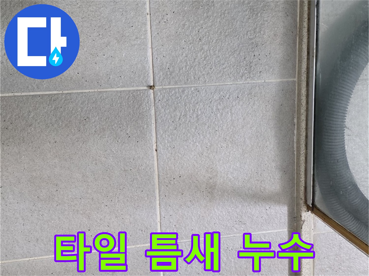 분당 운중동 화장실 타일 틈새 오염 - 틈새 오염이 심각하여 누수가 발생한 모습입니다.