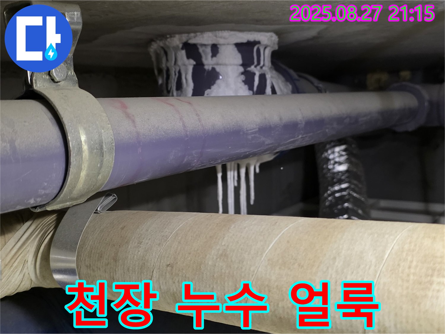 분당구 운중동 산운로 아파트 천장 누수 - 천장에 넓게 퍼진 누수 얼룩이 심각한 상황을 보여줍니다.