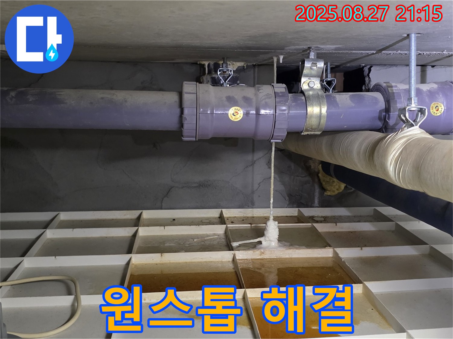 분당구 운중동 산운마을 6단지 - 누수 탐지부터 완벽 시공까지 원스톱으로