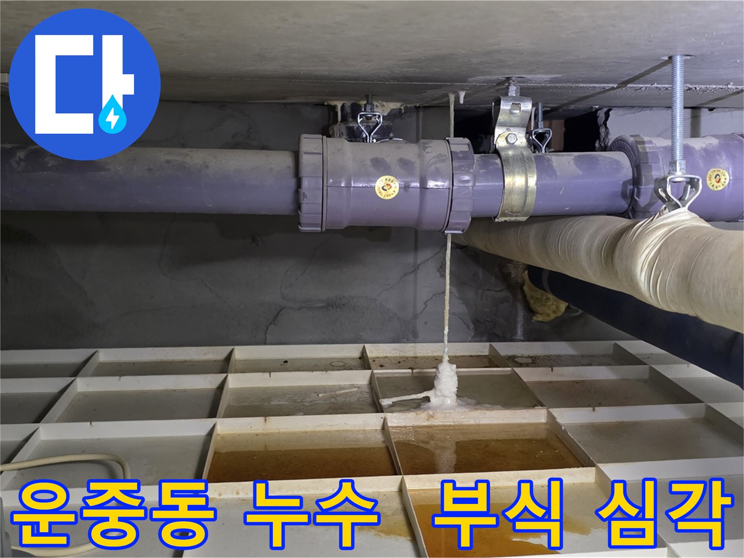 분당구 운중동 상수도 배관 연결 부위 심각한 부식 - 긴급 진단 필요