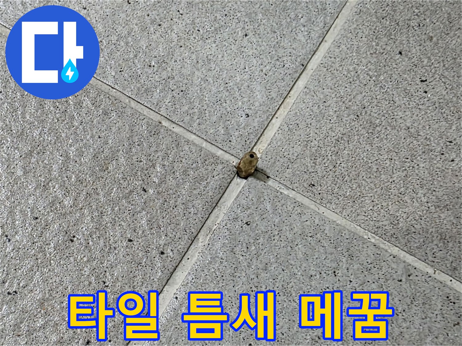 분당구 운중동 아파트 타일 틈새 메꿈 작업 - 꼼꼼한 시공으로 누수 완벽 차단